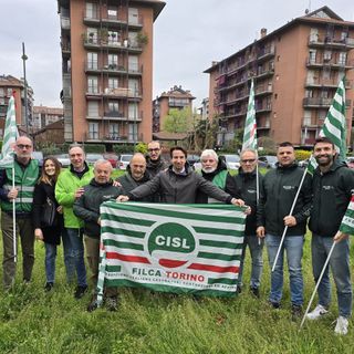 Piantumati 20 alberi donati dalla FILCA-CISL: “Simbolo del nostro impegno per la sicurezza e la sostenibilità&quot;