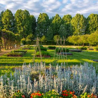 Slow Food Editore arriva alla Reggia di Venaria con sette appuntamenti gastronomici