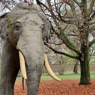 L'elefante Fritz per annunciare la riapertura del Museo di Scienze Naturali