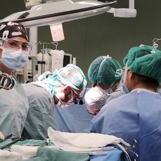All'ospedale Molinette, un nuovo tipo di trapianto per ripristinare la microbiotica intestinale