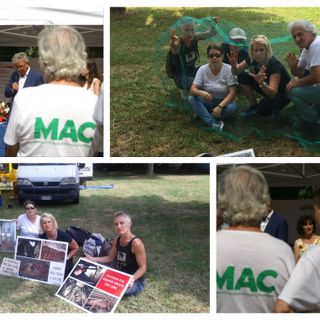 Proteste &quot;silenziose&quot; degli animalisti durante la Fiera di Chivasso