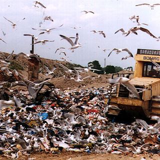 Discarica di Chivasso, ora il dissesto economico dei gestori preoccupa anche il sindaco