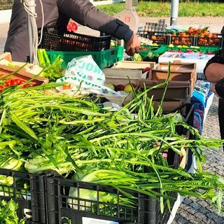 Dopo i bus, al Villaretto torna un banco di frutta e verdura