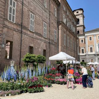 Fiori, profumi e colori ai Giardini Reali: partita l'edizione primaverile di FLOR22 [FOTO]