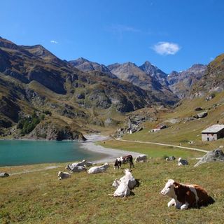 lago di Malciaussia