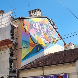 “Geometrie Floreali” a Borgo Campidoglio: la nuova opera del Museo di Arte Urbana di Torino