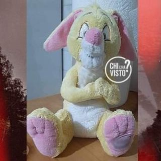 "Qualcuno ha trovato questo peluche di mia figlia autistica?" Appello di una mamma torinese a "Chi l'ha visto?"