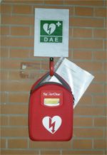 I principali parchi cittadini dotati di defibrillatori: lo chiede una mozione in Consiglio comunale