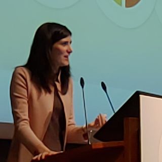 Tav, Appendino: “Auspico che si vada fino in fondo seguendo quanto previsto dal contratto di governo” (VIDEO)