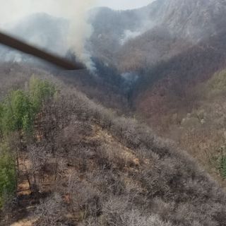 Da domani in tutto il Piemonte proclamato lo stato di massima pericolosità per gli incendi boschivi