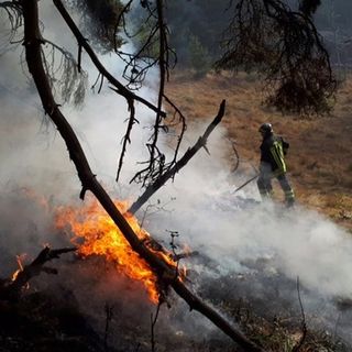 &quot;Chiediamo solo quello che ci spetta&quot;: a un anno dall'emergenza incendi, ancora non pagati gli straordinari ai Vigili del Fuoco