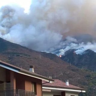 &quot;Brucio anch'io&quot;: una mostra a Torino a un anno dagli incendi nel Pinerolese e in ValSusa