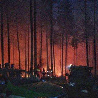 Incendio nei boschi di Almese, fiamme vicino alla frazione Rivera: vigili del fuoco sul posto
