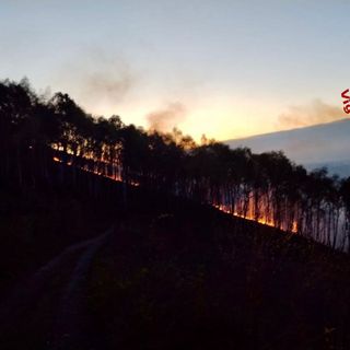 incendio boschivo