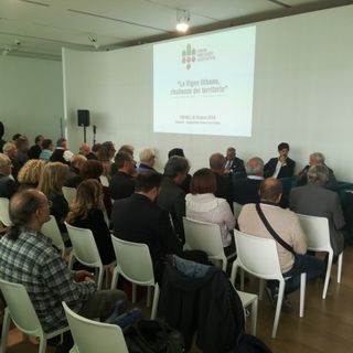 Quando il vino nasce dietro casa: Torino alla guida dei vigneti &quot;urbani&quot; [VIDEO]