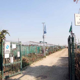 Orti urbani di Grugliasco