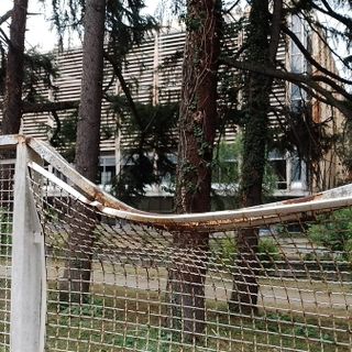 Il Palazzo del Lavoro vede un pezzetto di futuro: si comincia tagliando la jungla che lo circonda