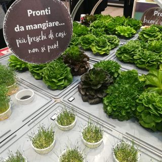 Lo storico Auchan di corso Romania si rinnova e presenta un nuovo modo di vivere lo shopping