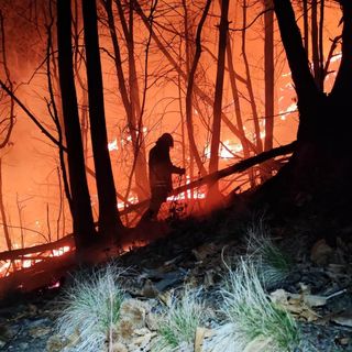 Vigili de fuoco in azione