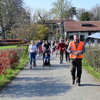 Ipla, l'assemblea dei soci approva il bilancio 2018 con 328 mila euro di attivo