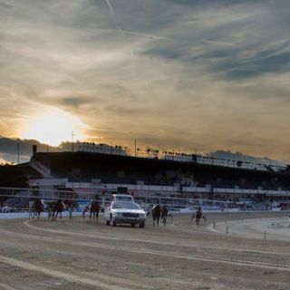 Dicembre inizia con otto corse e un programma ricchissimo all'ippodromo di Vinovo