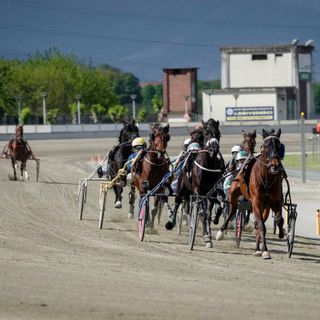 All'ippodromo di Vinovo una domenica tra grande trotto e moda