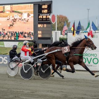 Ippica e ciclismo 'corrono assieme' all'ippodromo di Vinovo