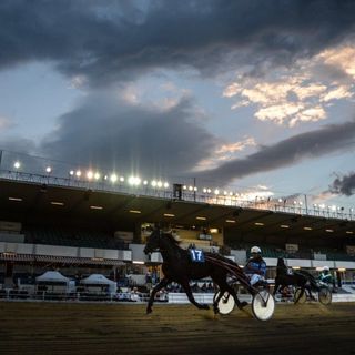 Ippodromo di Vinovo, si cambia: dal 6 agosto ingresso solo con il Green Pass
