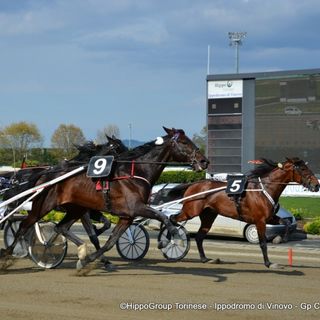Sabato di trotto a Vinovo, tengono banco i testa a testa