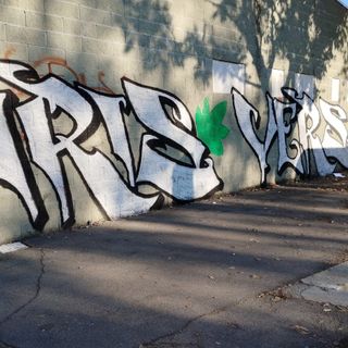 Foto tratta dal profilo Facebook di &quot;Edera Squat&quot;