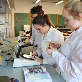 Fiera A&amp;T 2019: Premio Innovazione 4.0 all’ITIS Pininfarina di Moncalieri