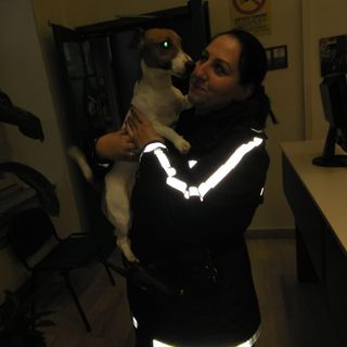 Storia di Natale a Nichelino: polizia salva e recupera Jack Russel