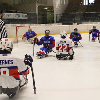 Al Torneo Internazionale di Para-Ice Hockey di Torino l’Italia vola in finale Al Torneo Internazionale di Para-Ice Hockey di Torino l’Italia vola in finale
