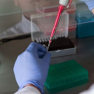 I laboratori di ricerca internazionali fanno squadra per combattere la pandemia: Torino protagonista