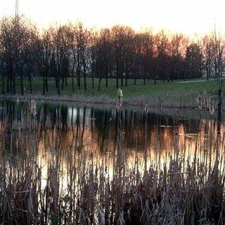 laghetto pellerina