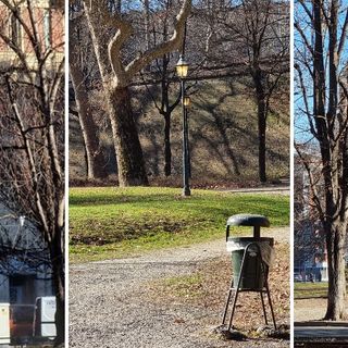 Caro-bollette, Iannò (Torino Bellissima): &quot;Ma ai Giardini Reali i lampioni sono accesi in pieno giorno&quot;