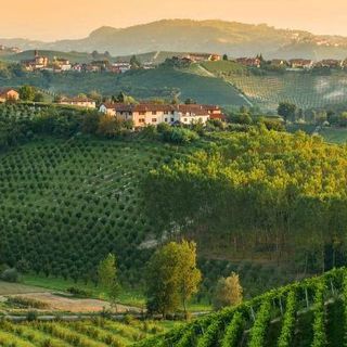 Il Piemonte spicca tra le regioni del mondo secondo Lonely Planet