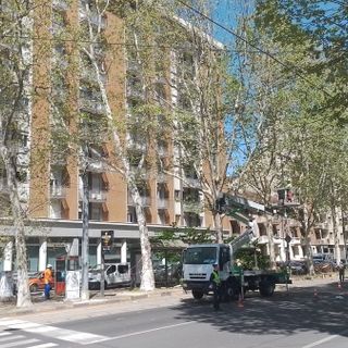 tram 10