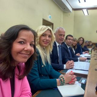 leghisti commissione vigilanza rai