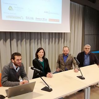 Il bosco? Fa paura solo nelle fiabe. In realtà può dare energia e tutela del territorio (VIDEO)