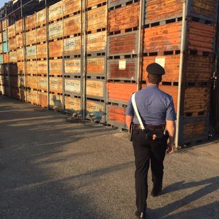 In magazzino ha 14 cassoni di lamiera rubati: denunciato imprenditore