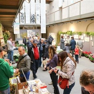 Sanremo- Forza della Natura: oltre 10.000 presenze per la manifestazione dedicata a Libereso
