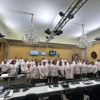 life is pink consiglio regionale