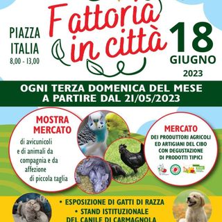 Domenica a Carmagnola torna l'appuntamento con Fattoria in Città