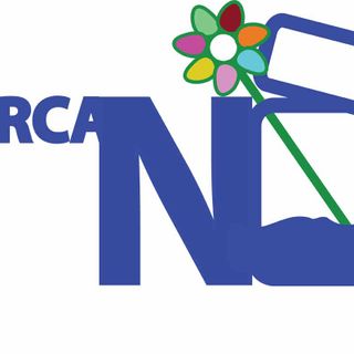 Torino, Barattolo: i cittadini organizzano un evento di protesta Torino, Barattolo: i cittadini organizzano un evento di protesta