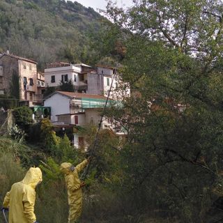 Ok da parte dell'Europa al progetto Life StopVespa promosso da Unito