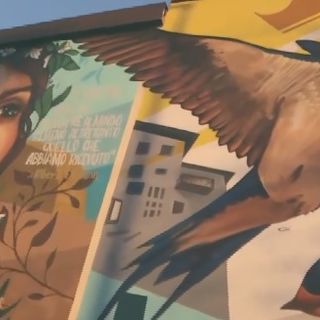 madre natura in via stupinigi a Nichelino