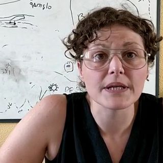 Parla la maestra torinese licenziata per gli insulti ai poliziotti: “Ho fatto una sciocchezza, ma togliermi il lavoro è un atto spropositato” (VIDEO)