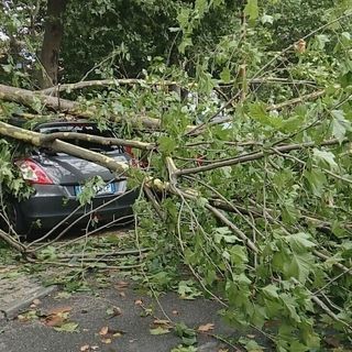 Maltempo: scatta la conta dei danni. Auto distrutta in corso Regina Margherita