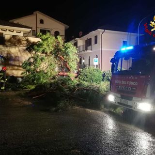 Livello del Po salito di 5 metri nelle ultime 48 ore. Coldiretti: &quot;Monitoriamo la situazione&quot;